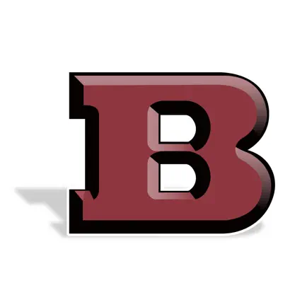 Bayonne School District Cheats