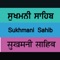 By the grace of almighty Guru: Sri Guru Arjun Dev Sahib Ji, this app let you easily read, listen, switch to specific Astpadi & bookmark bani position