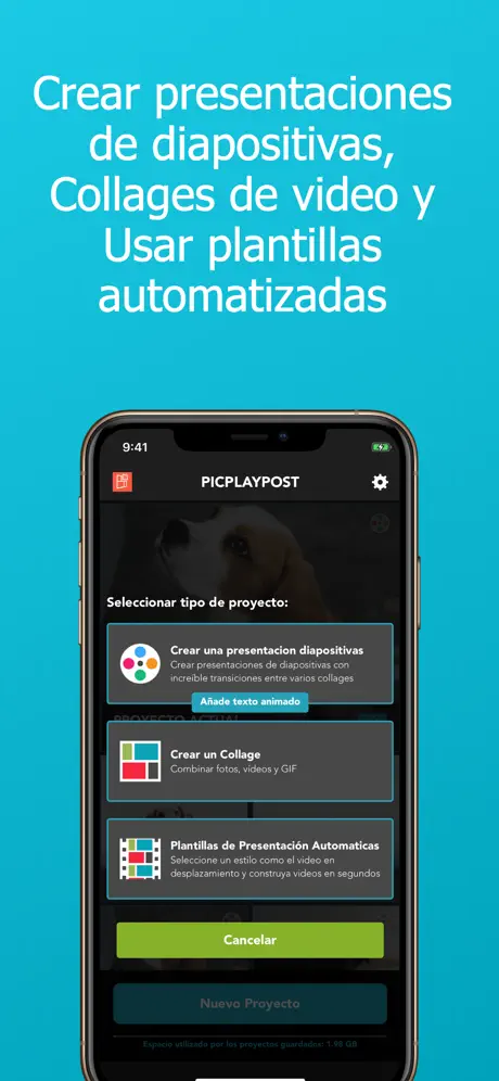 PicPlayPost - Video Editor