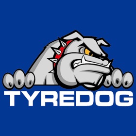螢幕擷取畫面 (10) TYREDOG TPMS 藍芽胎壓偵測