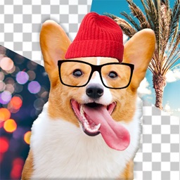 Dog Photo Editor icono
