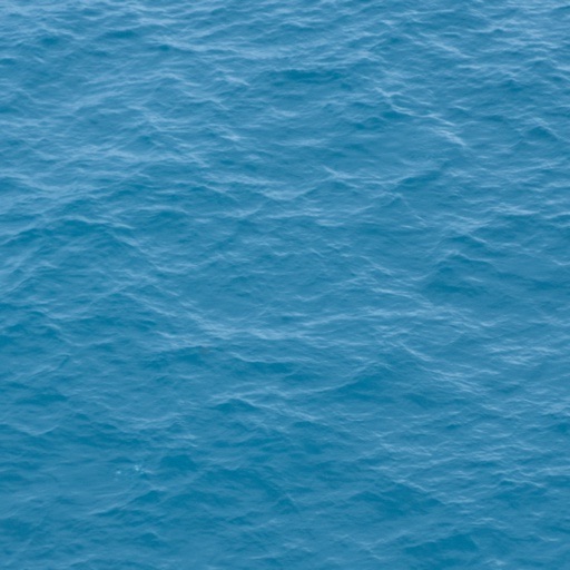 Mikvah Appointment Bookings