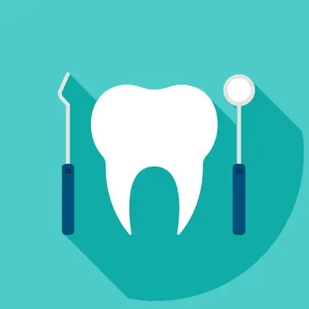 Learn Dental Anatomy Cheats