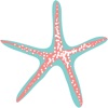 Seven Starfish Boutique icon