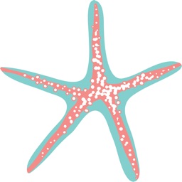 Seven Starfish Boutique