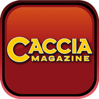 RIVISTA CACCIARE A PALLA