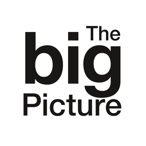 Quintessence The big Picture