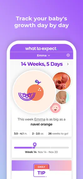 Game screenshot Pregnancy & Baby Tracker - WTE mod apk
