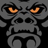 Gorilla Fleet Intelligence icon