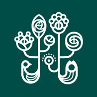 野兽派-像野兽一样去爱去生活