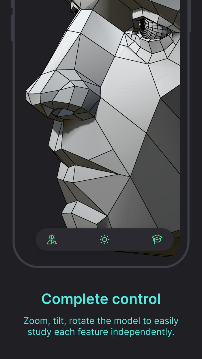 Head Model Studio - Art Study