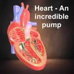 Heart - An incredible pump App Problems