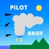 Pilot Brief - iPhoneアプリ