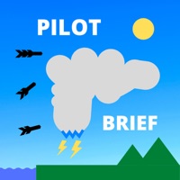 Pilot Brief logo