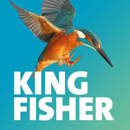 KingFisher Portal Читы