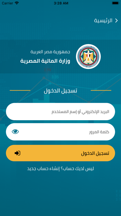 Egyptian Ministry of Finance Screenshot