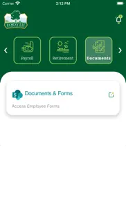 forsyth co employee connection iphone screenshot 3