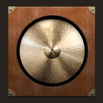 Download Gong Amp app