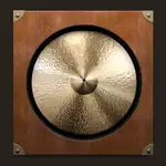 Gong Amp App Alternatives