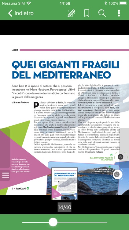 Panda Magazine screenshot-3