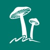 Rostou! - Mushroom Guide icon