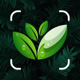 Identify trees & Plant care