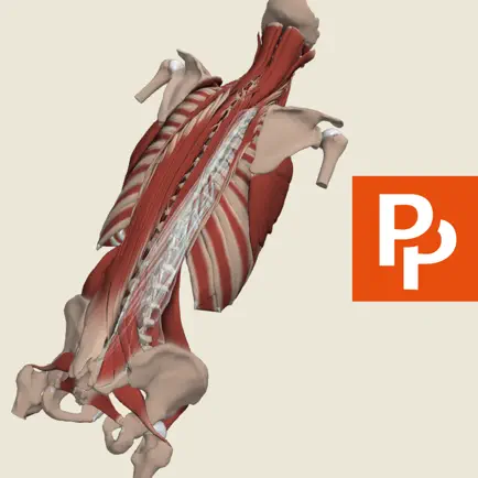 Primal's 3D Spine Cheats