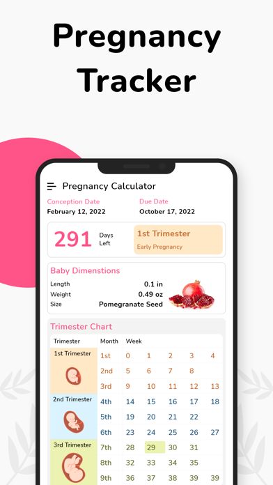 Pregnancy Tracker Week by Week Screenshot