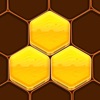 Honeycomb Hexa Block Puzzle icon