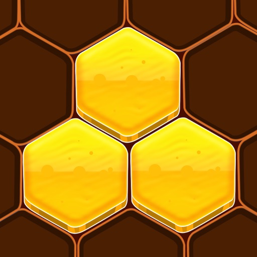 Honeycomb Hexa Block Puzzle