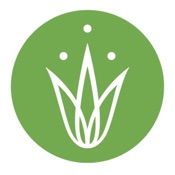 Grassroots Yoga - Ventura, Ca