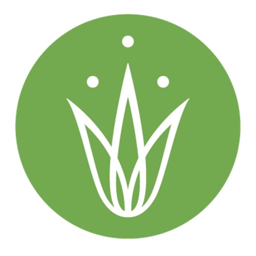 Grassroots Yoga - Ventura, Ca