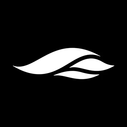 SiFly eFoils Читы