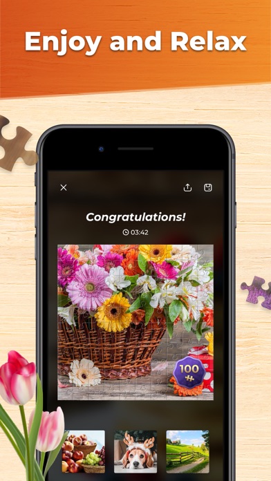 Puzzle Games: Jigsaw Puzzles Screenshot