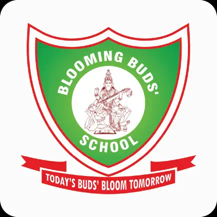 Blooming Buds Schools. Читы