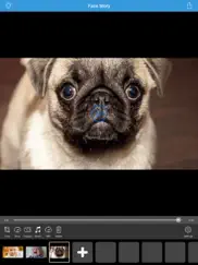 face story pro - change and morph face slideshow айпад изображения 3