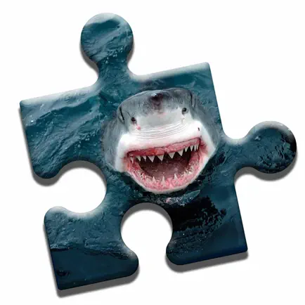 Shark Lovers Puzzle Cheats