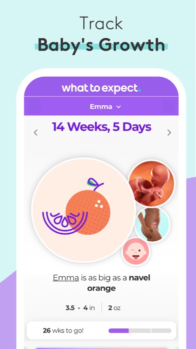 Screenshot #1 pour Pregnancy & Baby Tracker - WTE