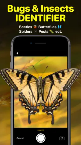 Game screenshot Bug Identifier App - Insect ID mod apk