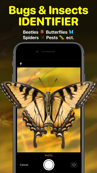 Bug Identifier App - Insect ID Screenshot