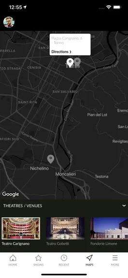 Game screenshot Teatro Stabile Torino hack