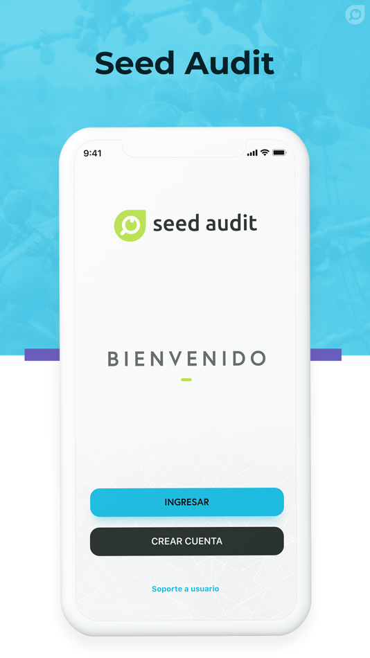 #1. Seed Audit (iOS) 由: GrainChain