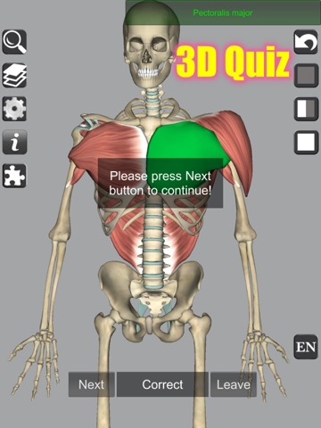 3D Bones and Muscles (Anatomy)のおすすめ画像9