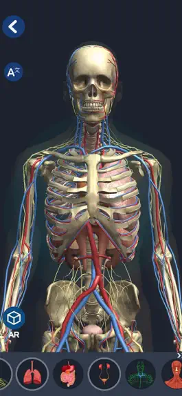 Game screenshot Human Anatomy 3D mod apk