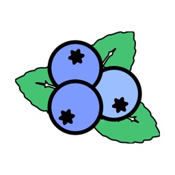 Myrtilles