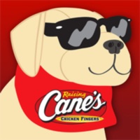 Raising Cane’s® Arcade