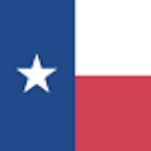 Texas Child Support Calc 2022