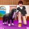 Icon Pet Care Game–My Cat & Dog Sim