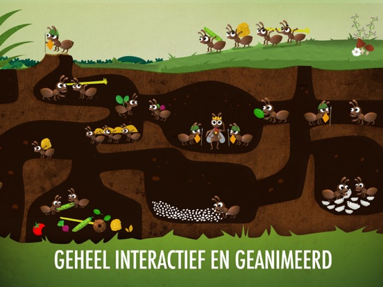 De Beestjes I: Insecten? iPad app afbeelding 4