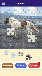 pony love puzzle iphone screenshot 4